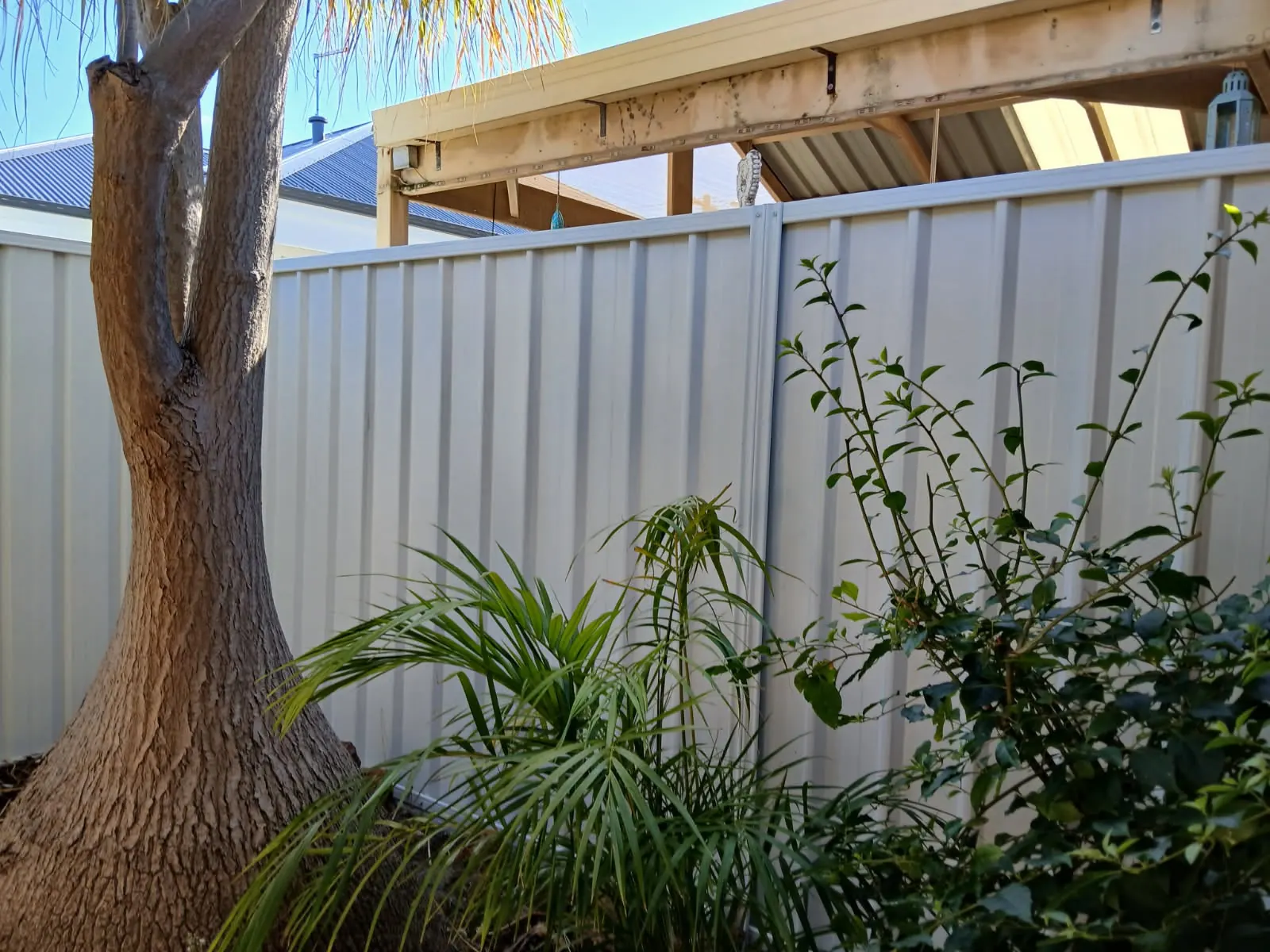 Light Colorbond fence installed behind an established Perth garden